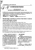 珠贝提取物药理作用的研究