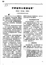 牙鲆苗种大规模培育