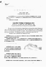 斜带髭鲷养殖技术