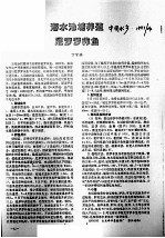 海水池塘养殖 尼罗罗非鱼