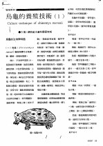 乌龟的养殖技术 1
