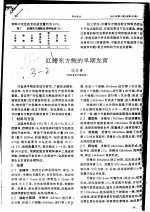 红鳍东方鲀的早斯发育