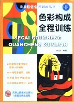 色彩构成全程训练