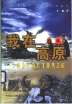 我在高原 一个城市人的长江源头之旅