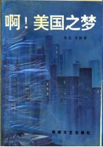 啊!美国之梦