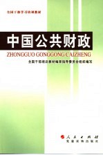 中国公共财政