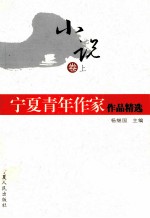 宁夏青年作家作品精选 小说卷 上