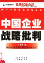 中国企业战略批判 揭开中国企业命运之谜