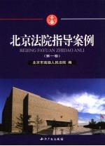 北京法院审判指导案例 第1卷