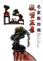 名家教你做微型盆景