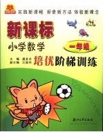 新课标小学数学培优阶梯训练 一年级