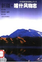 新疆 喀什风物志