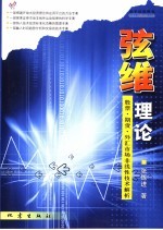 弦维理论 股票·期货·外汇市场非线性技术解析