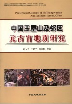中国王屋山及邻区元古宙地质研究