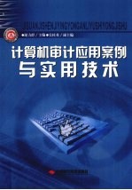 计算机审计应用案例与实用技术