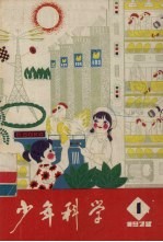 少年科学 1978 1