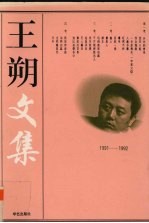 王朔文集 4