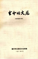 生命的火花 抗洪抢险专辑
