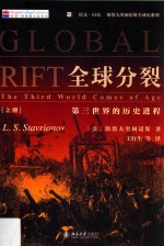 全球分裂 第三世界的历史进程 上册=Global rift the third world comes of age