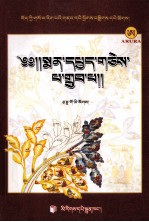 藏医治疗精粹(藏文)