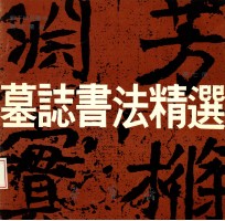 墓志书法精选 第7册 鲜于仲儿墓志、冯氏墓志