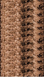 官常典 卷1-6