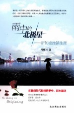 雨中的北极星 新加坡推销生涯