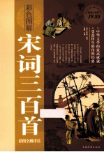 宋词三百首彩图全解详注 超值白金版