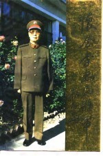 怀念李志民将军