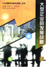 大型企业的发展战略 上