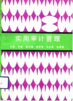 实用审计管理