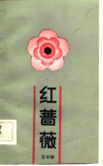 红蔷薇