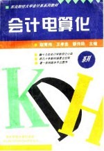 会计电算化