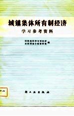 城镇集体所有制经济学习参考资料