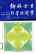 乡镇企业经营经济学
