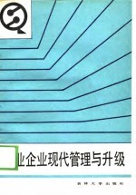 商业企业现代管理与升级