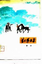 兰木萨尔朵
