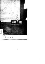 细胞