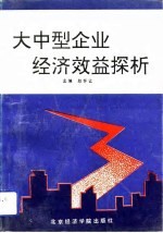 大中型企业经济效益探析