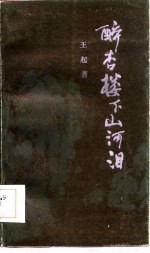 醉杏楼下山河泪
