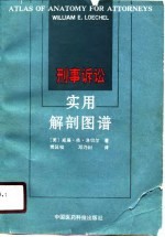刑事诉讼实用解剖图谱