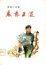 春意正浓 短篇小说集