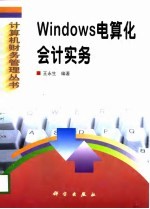 Windows电算化会计实务