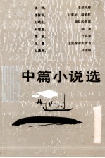 中篇小说选 第1辑