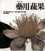 使用生活丛书 园艺系列 药用蔬果