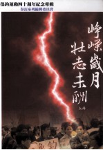峥嵘岁月，壮志未酬 春雷系列增编 上