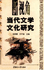 新视角 当代文学文化研究
