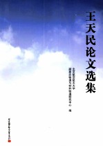 王天民论文选集