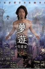 平装本书丛书 迷FAN 梦游