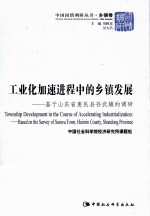 工业化加速进程中的乡镇发展 基于山东省惠民县孙武镇的调研